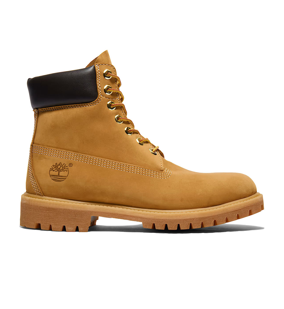 Wheat Timberland Premium 6-Inch Waterproof Boot with black collar on a white background