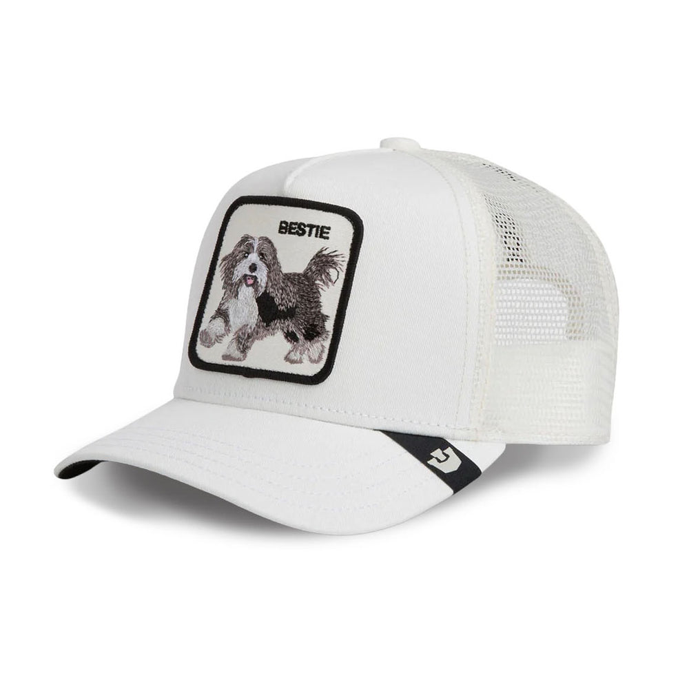 Bestie Trucker – Dust | Goorin Bros (101-3002DUS)