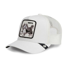 Bestie Trucker – Dust | Goorin Bros (101-3002DUS)