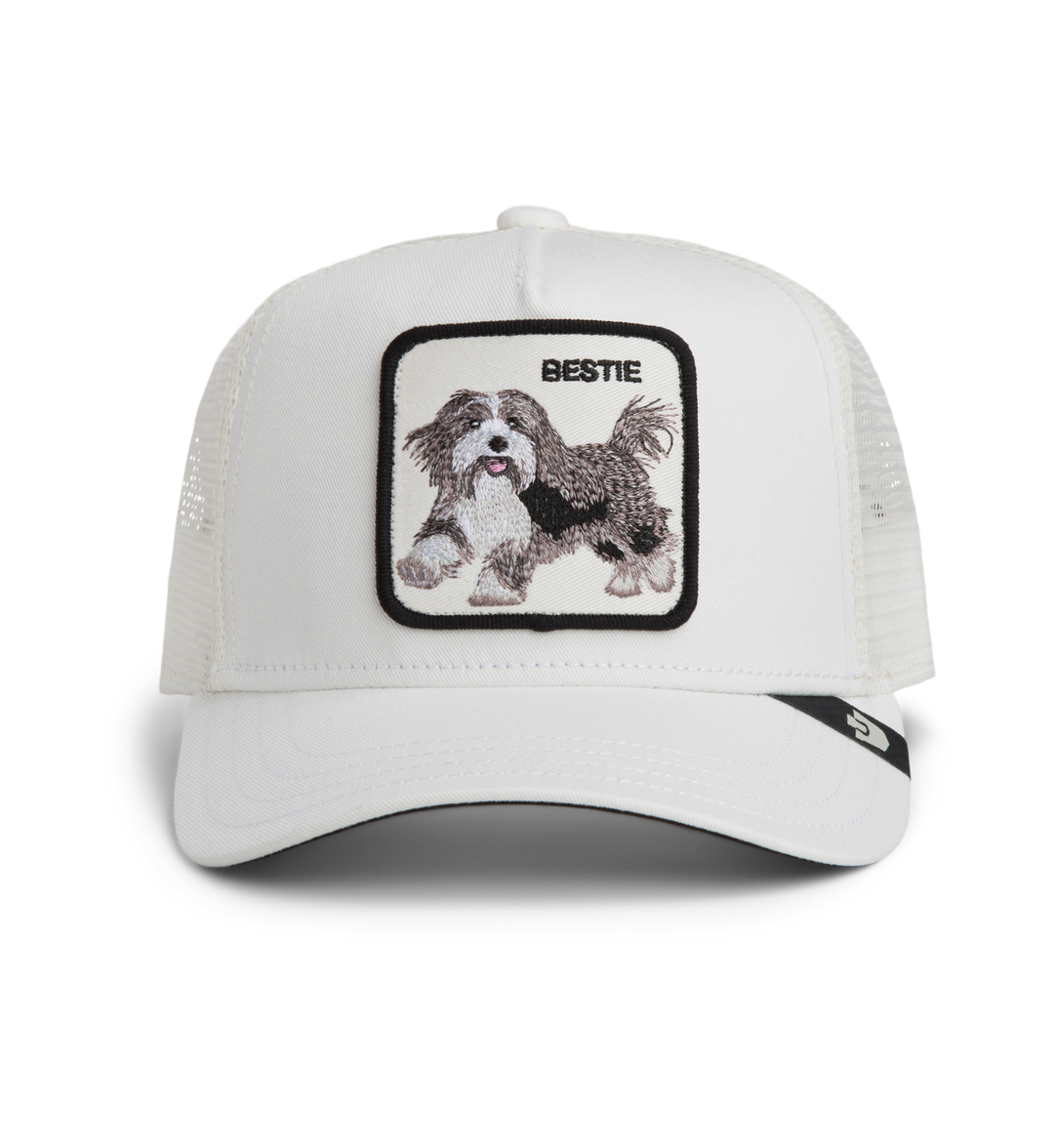 Bestie Trucker – Dust | Goorin Bros (101-3002DUS)