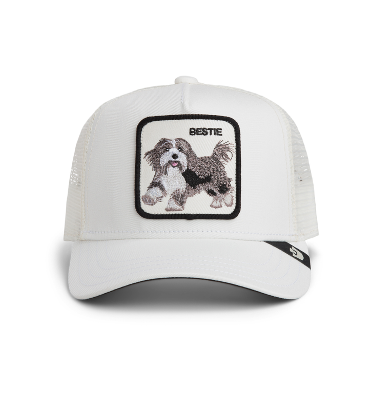 Bestie Trucker Mini – Dust | Goorin Bros (201-0094DUS)