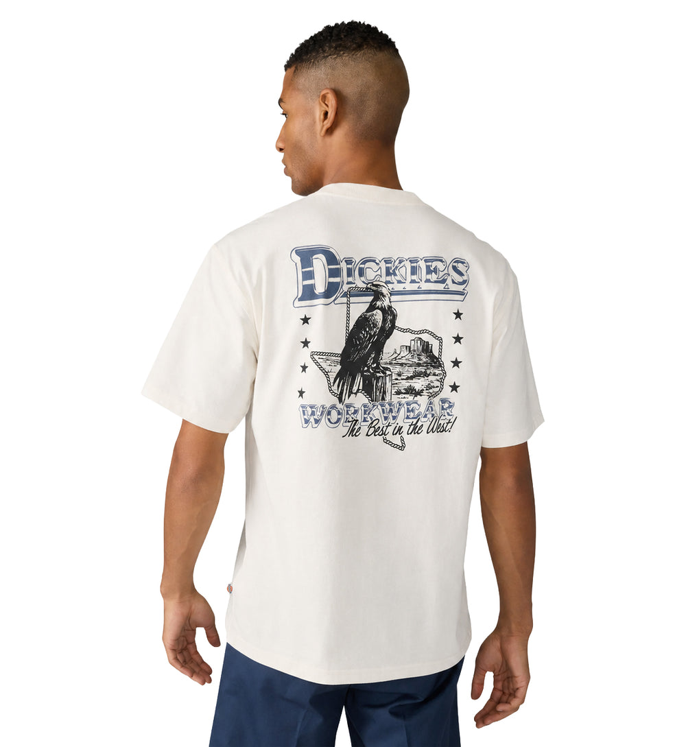 Dickies Gainesville Short Sleeve T-Shirt White A8CCK0WH | Pro Feet