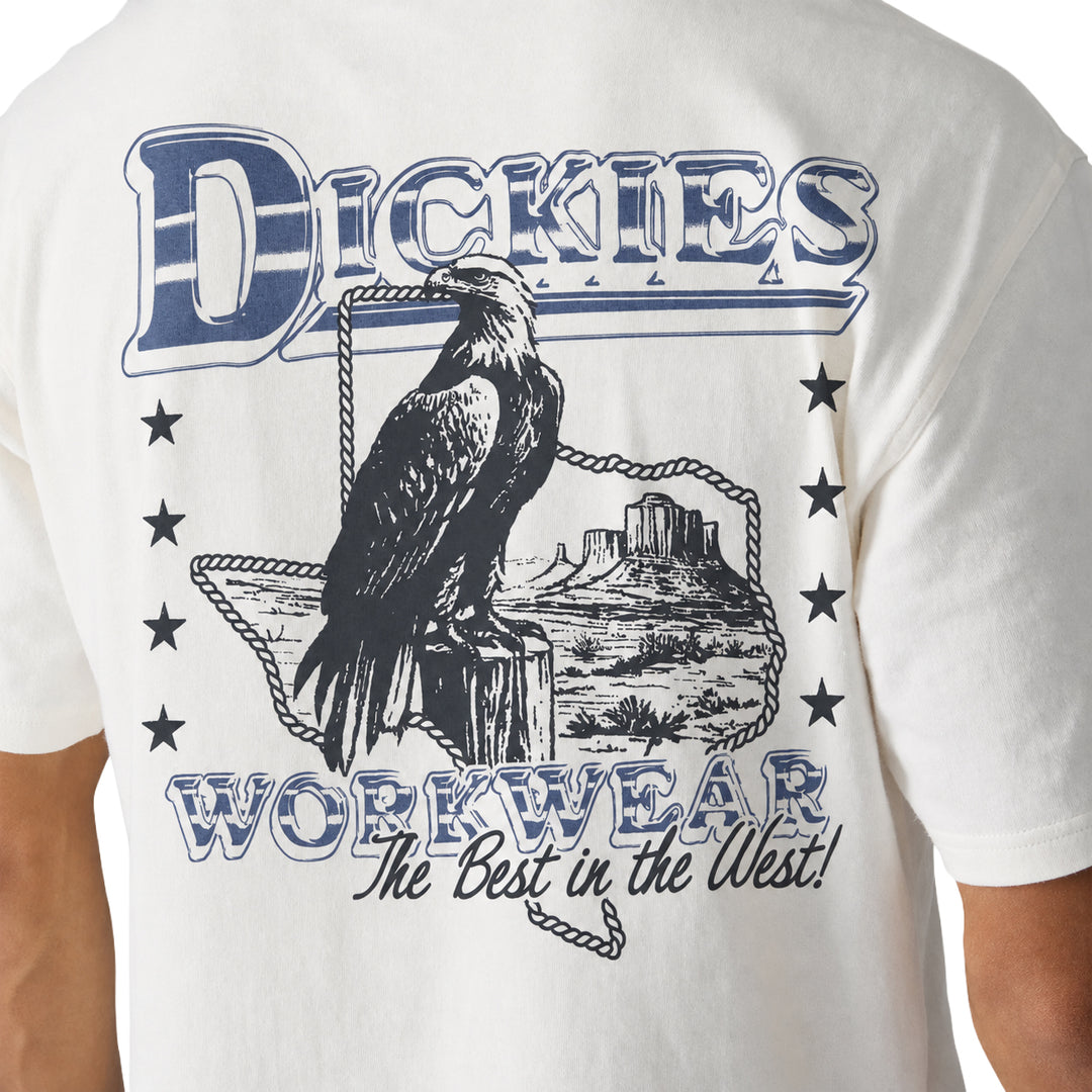 Dickies Gainesville Short Sleeve T-Shirt White A8CCK0WH | Pro Feet