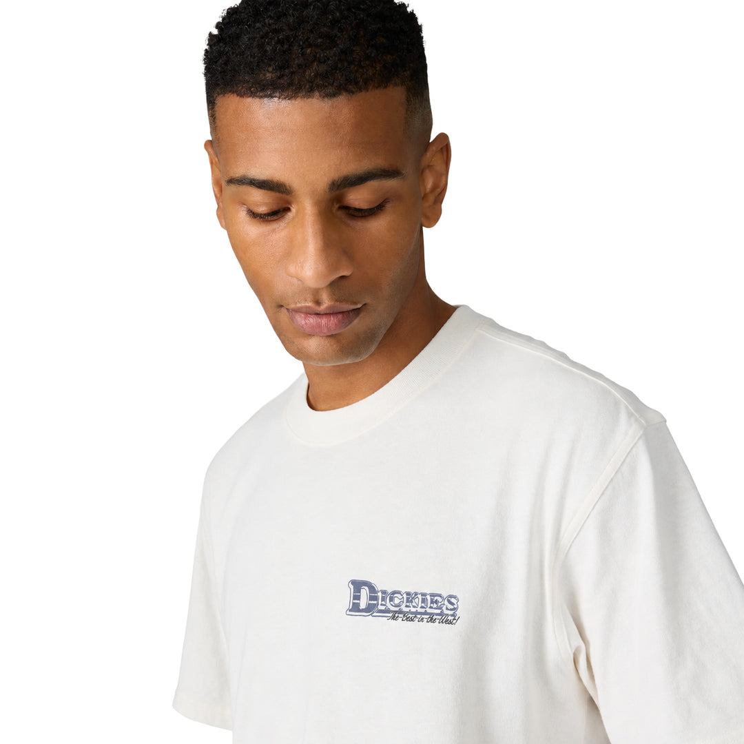 Dickies Gainesville Short Sleeve T-Shirt White A8CCK0WH | Pro Feet