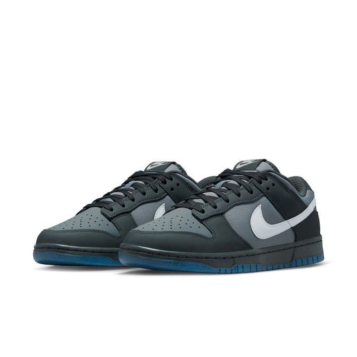 Nike Dunk Low Anthracite Pure Platinum FV0384-001 | Pro Feet