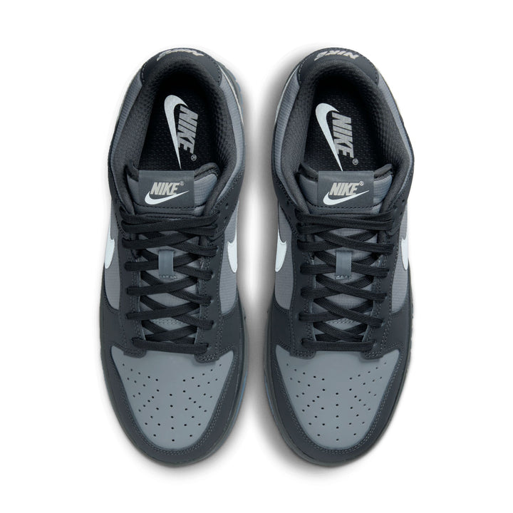 Nike Dunk Low Anthracite Pure Platinum FV0384-001 | Pro Feet