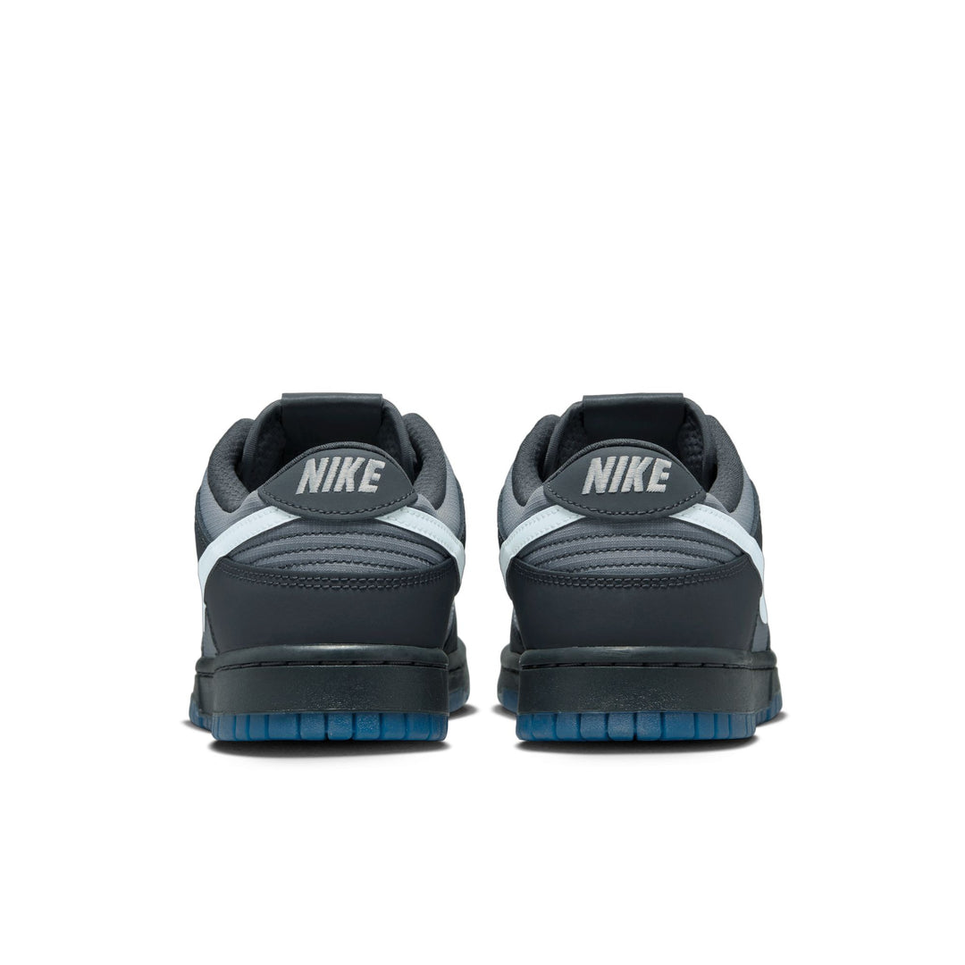 Nike Dunk Low Anthracite Pure Platinum FV0384-001 | Pro Feet