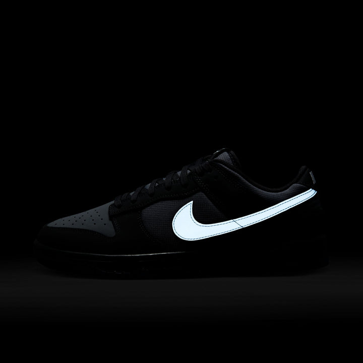 Nike Dunk Low Anthracite Pure Platinum FV0384-001 | Pro Feet