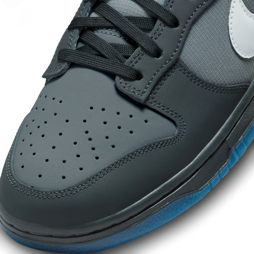Nike Dunk Low Anthracite Pure Platinum FV0384-001 | Pro Feet