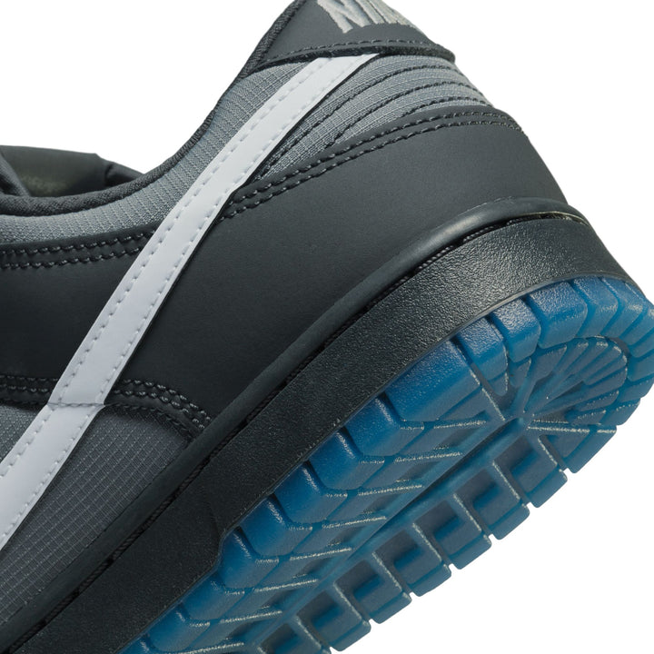 Nike Dunk Low Anthracite Pure Platinum FV0384-001 | Pro Feet