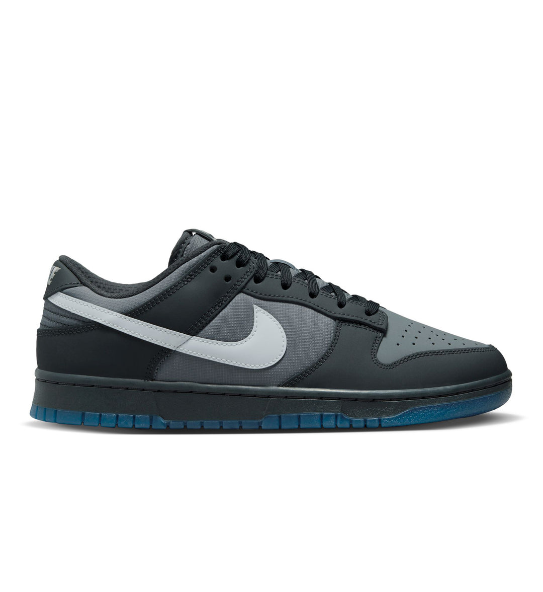 Nike Dunk Low Anthracite Pure Platinum FV0384-001 | Pro Feet