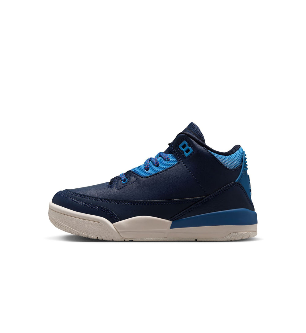 Air Jordan 3 Sport Renaissance PS HQ0783-400 | Pro Feet