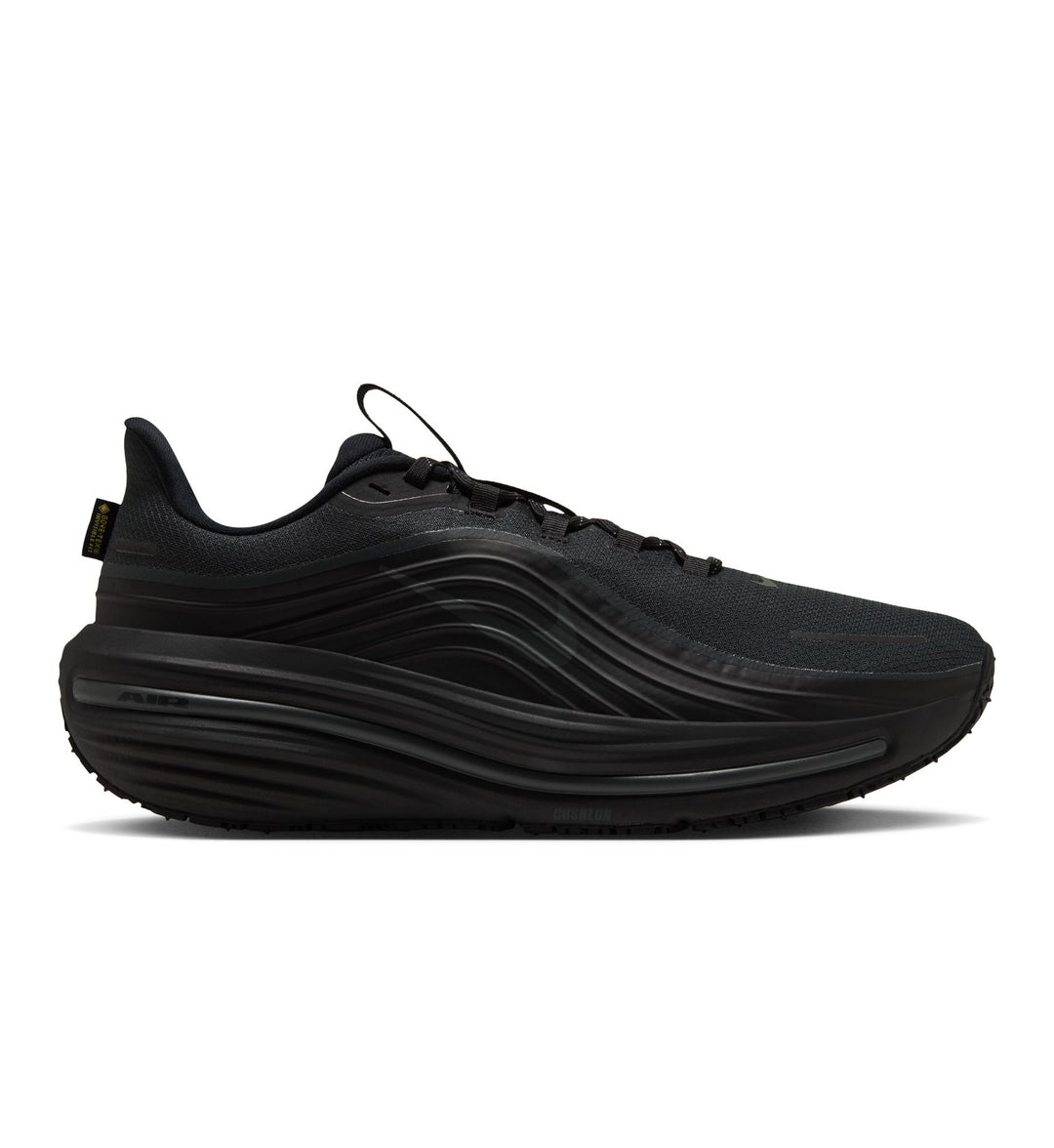 Nike Winflo 12 GORE-TEX Black Dark Smoke Grey IO7953-001 | Pro Feet