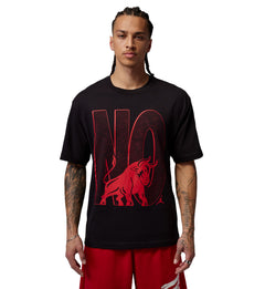Jordan Brooklyn T-Shirt Black IR2117-010 | Pro Feet