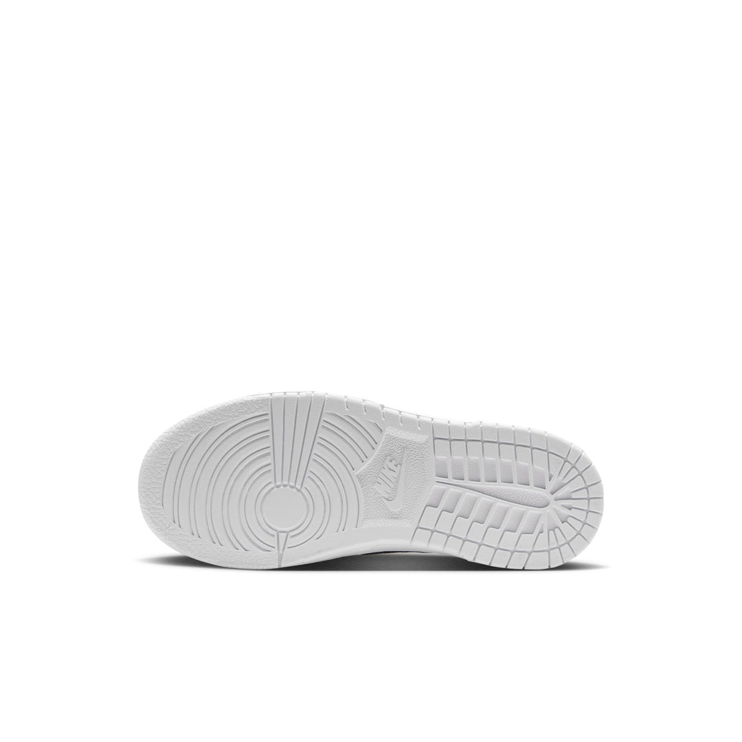 Nike Dunk Low PS Pure Platinum Anthracite IU7765-003 | Pro Feet