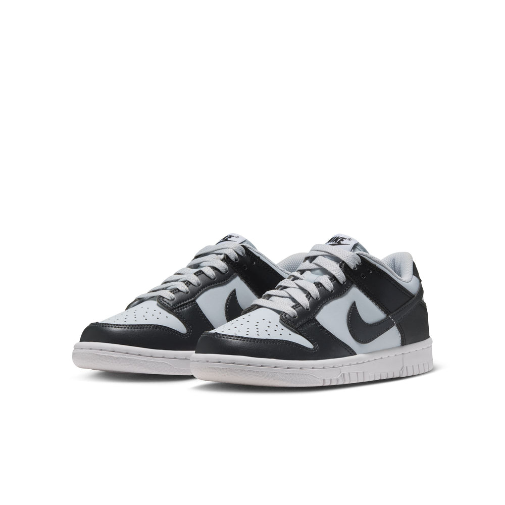 Nike Dunk Low GS Pure Platinum Anthracite IU7766-003 | Pro Feet