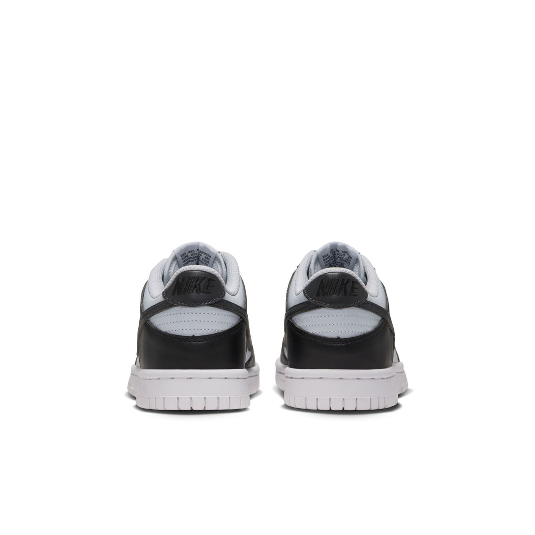 Nike Dunk Low GS Pure Platinum Anthracite IU7766-003 | Pro Feet
