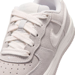 Nike Force 1 Low PS Vast Grey Sail IV5766-078 | Pro Feet