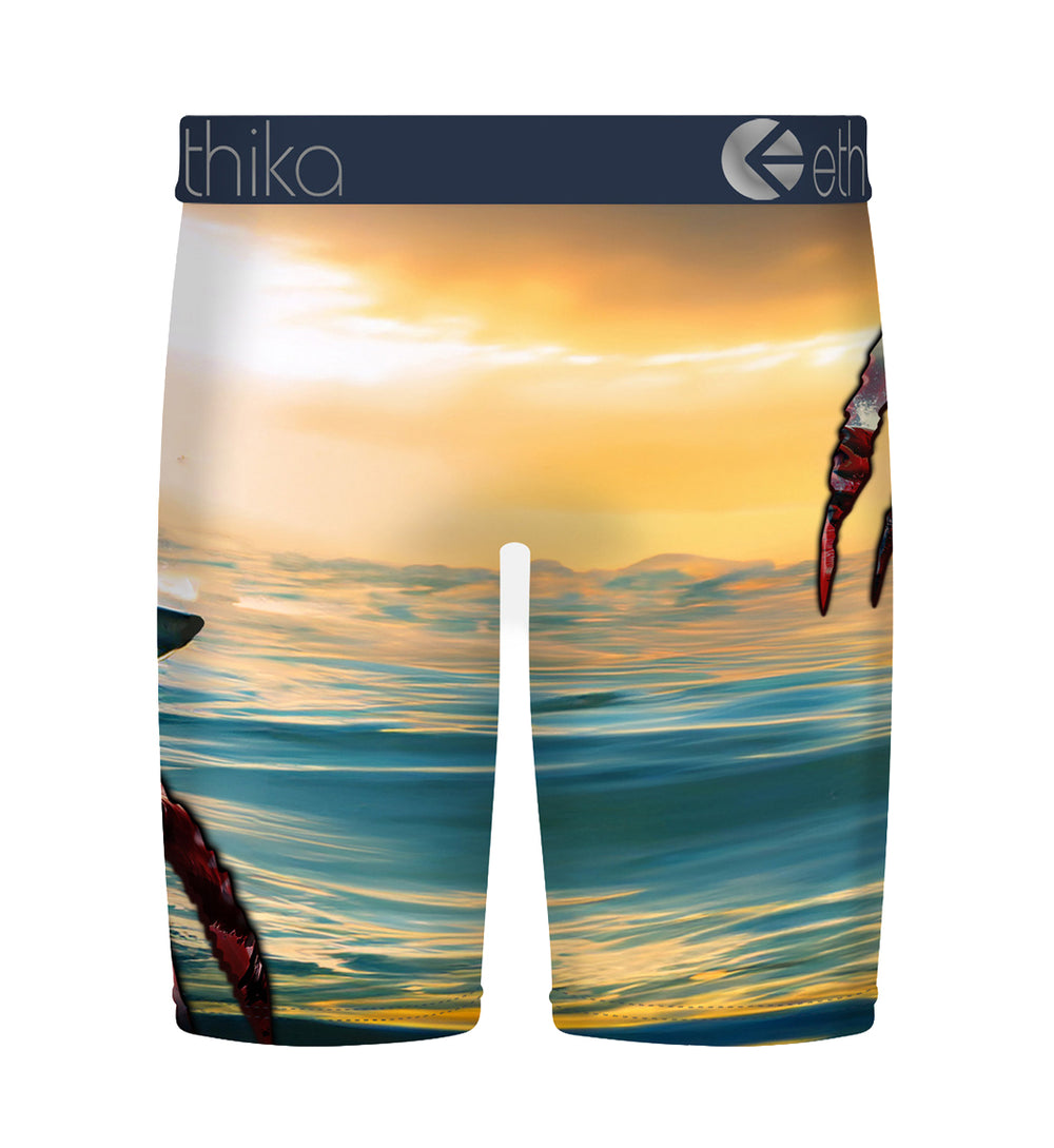 Backside of Ethika Men’s Staple Boxer Briefs — Jaw Dropped