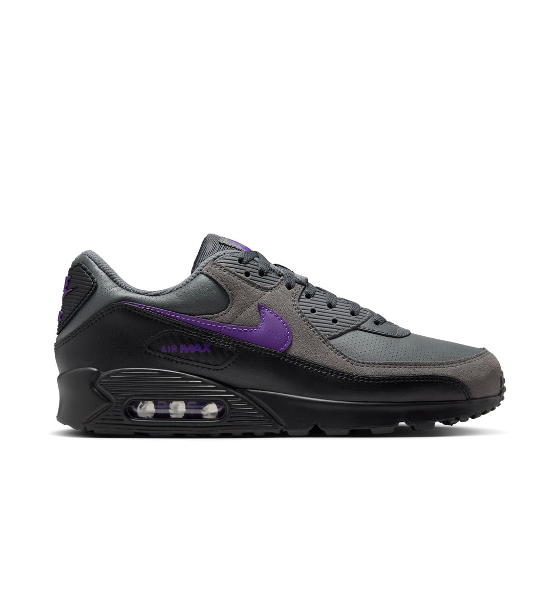 Gray and purple Nike Air Max 90 on a white background